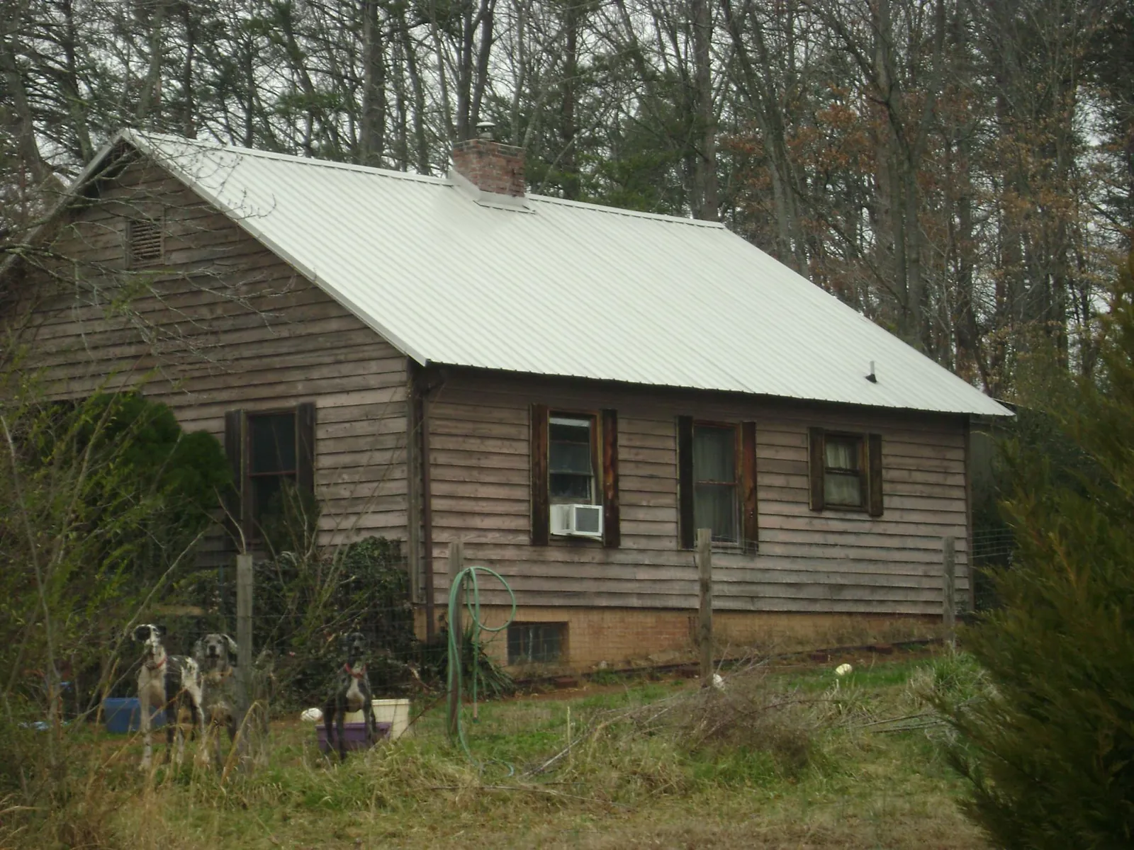 White metal roof on an old wood sided farmhouse, from a Asphalt Shingle Roof Repair job in Howells